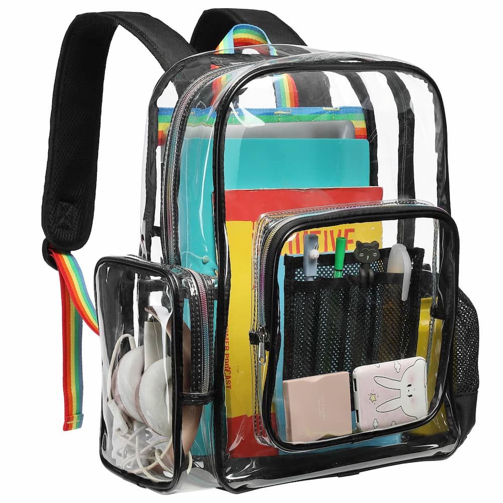 Heavy-duty Clear Backpack, X-Large
